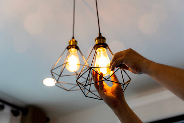Best Electric Panel Repair  in Virginia, MN